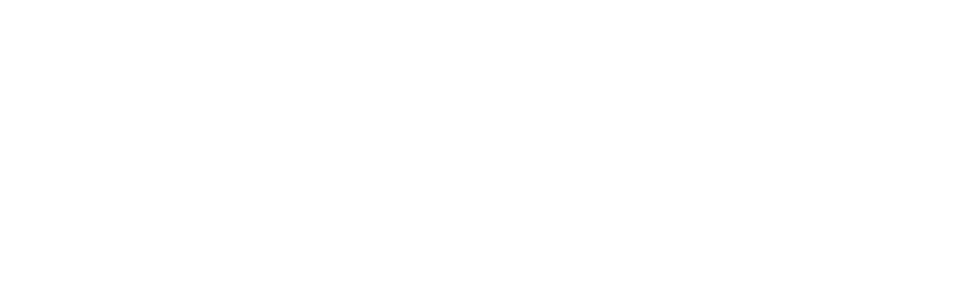 Konas_logotipas_baltas_su_uzrasu